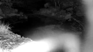 Still 1 from this detection