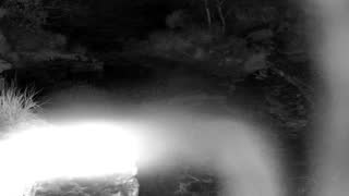 Still 1 from this detection