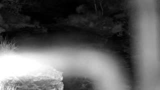 Still 1 from this detection