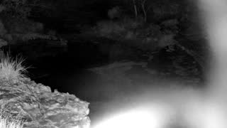 Still 1 from this detection