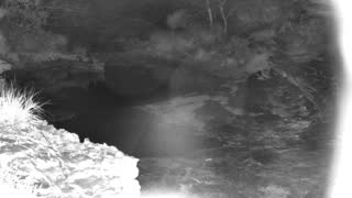 Still 1 from this detection