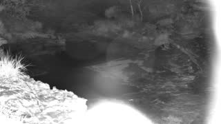 Still 1 from this detection