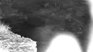 Still 1 from this detection
