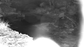 Still 1 from this detection