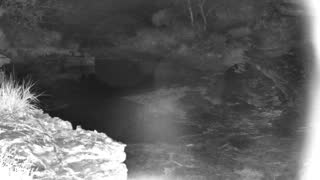 Still 1 from this detection