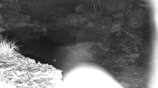 Still 1 from this detection
