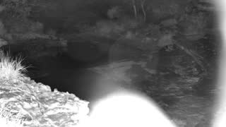 Still 1 from this detection