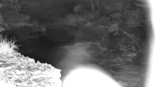 Still 1 from this detection