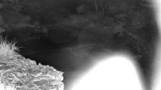 Still 1 from this detection