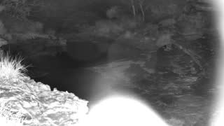Still 1 from this detection