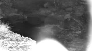 Still 1 from this detection