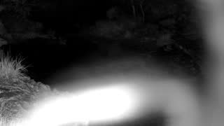 Still 1 from this detection