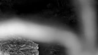 Still 1 from this detection