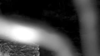 Still 1 from this detection