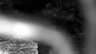 Still 1 from this detection