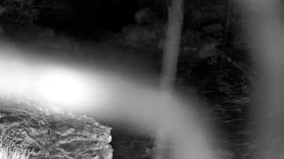 Still 1 from this detection