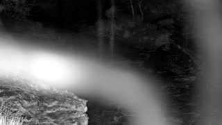 Still 1 from this detection