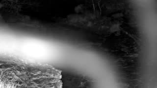 Still 1 from this detection