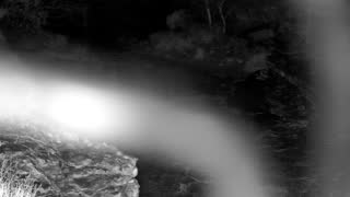 Still 1 from this detection