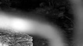 Still 1 from this detection