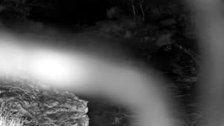 Still 1 from this detection