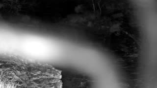 Still 1 from this detection