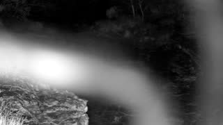 Still 1 from this detection