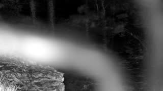 Still 1 from this detection