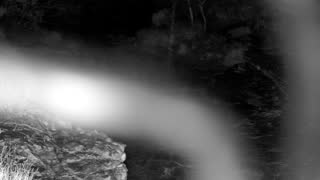 Still 1 from this detection