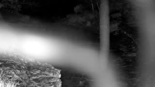 Still 1 from this detection