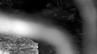 Still 1 from this detection