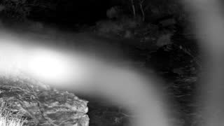 Still 1 from this detection
