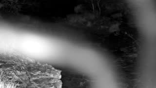 Still 1 from this detection