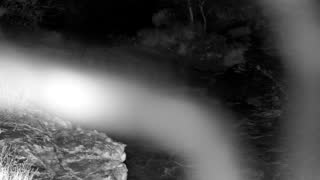 Still 1 from this detection
