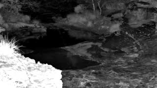 Still 1 from this detection