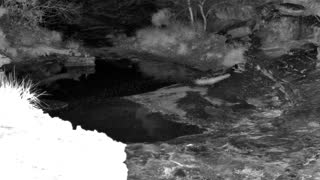 Still 1 from this detection