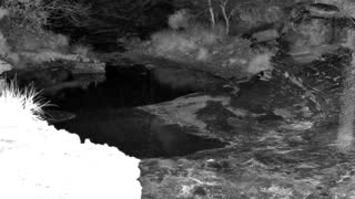 Still 1 from this detection