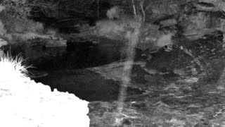 Still 1 from this detection