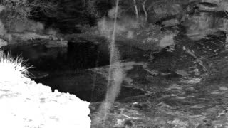 Still 1 from this detection