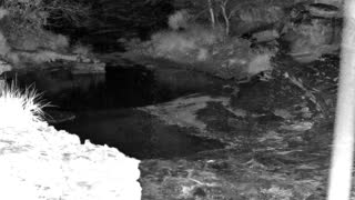 Still 1 from this detection