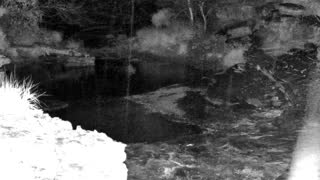 Still 1 from this detection
