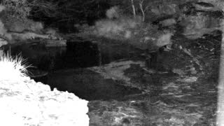 Still 1 from this detection