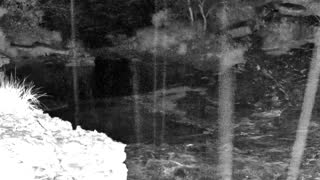 Still 1 from this detection