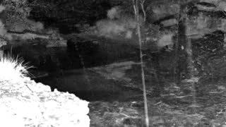 Still 1 from this detection