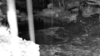 Still 1 from this detection