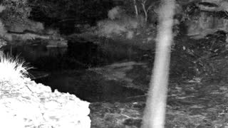 Still 1 from this detection
