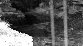 Still 1 from this detection