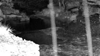 Still 1 from this detection