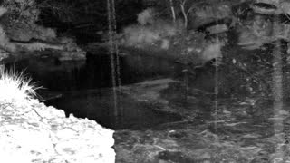 Still 1 from this detection