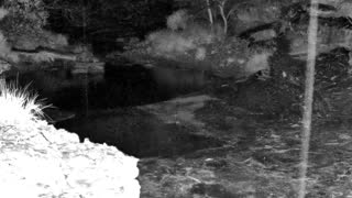 Still 1 from this detection